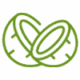 Coconut food products icon